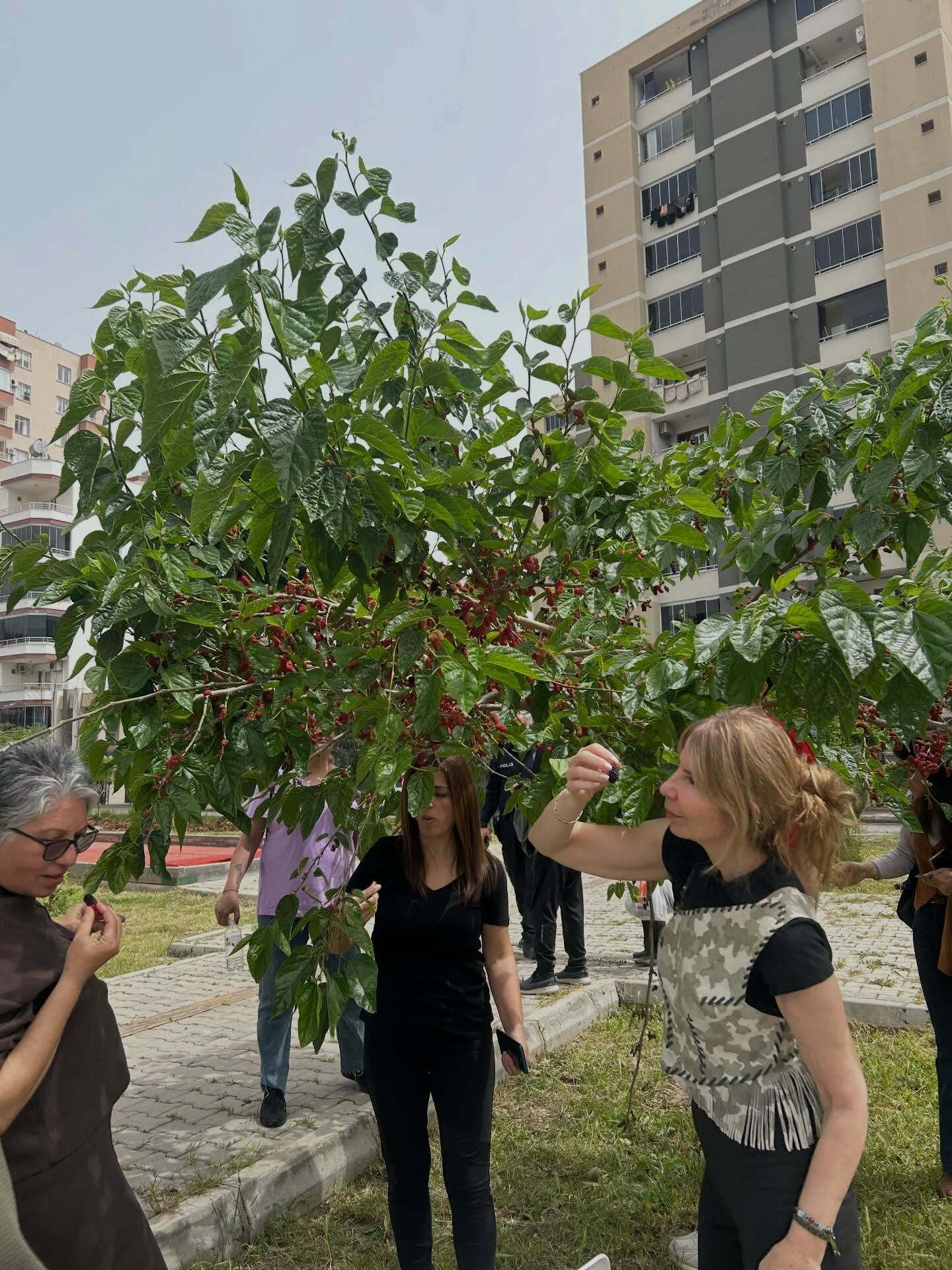 672441177 18547908322068111 8262394127159770639 N