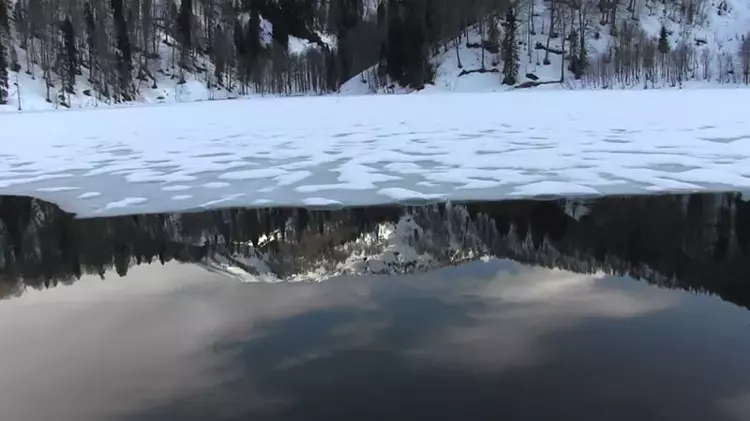 69D385E5367Da9Eda5D8C6B9