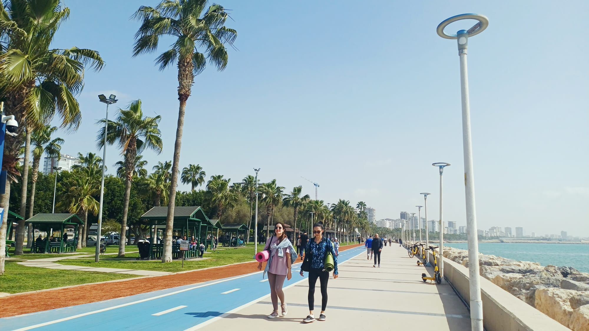 9B6F5E61 F536 4602 923D 6555986C8Ff2