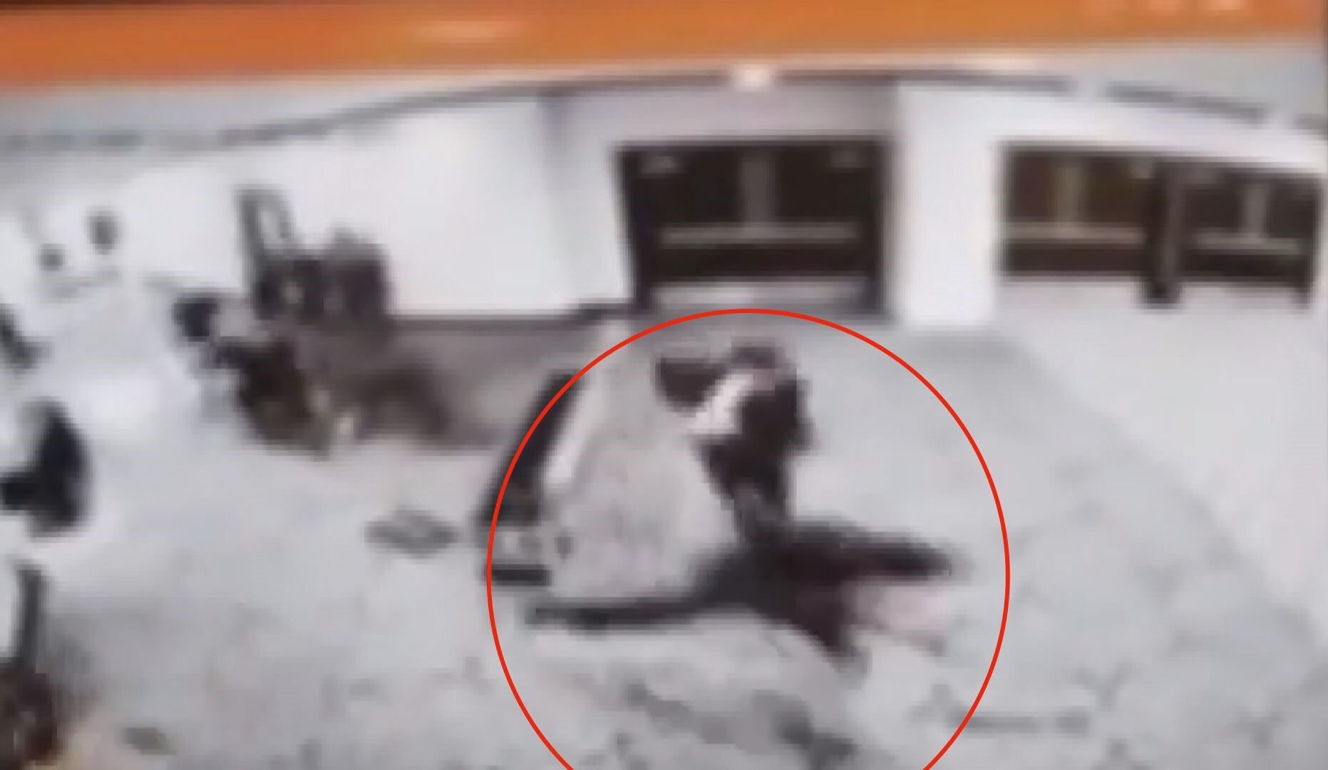 A B D B A S K A N I T R U M P K A T I L D I G I Y E M E K T E S I L 1278694 380523