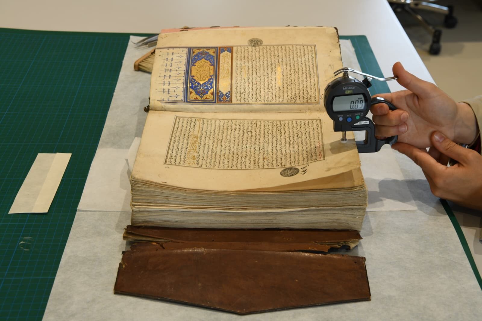 B A K A N E R S O Y K O K L E R I Y L E B A G I N I K O P A R A N T 1258347 374406