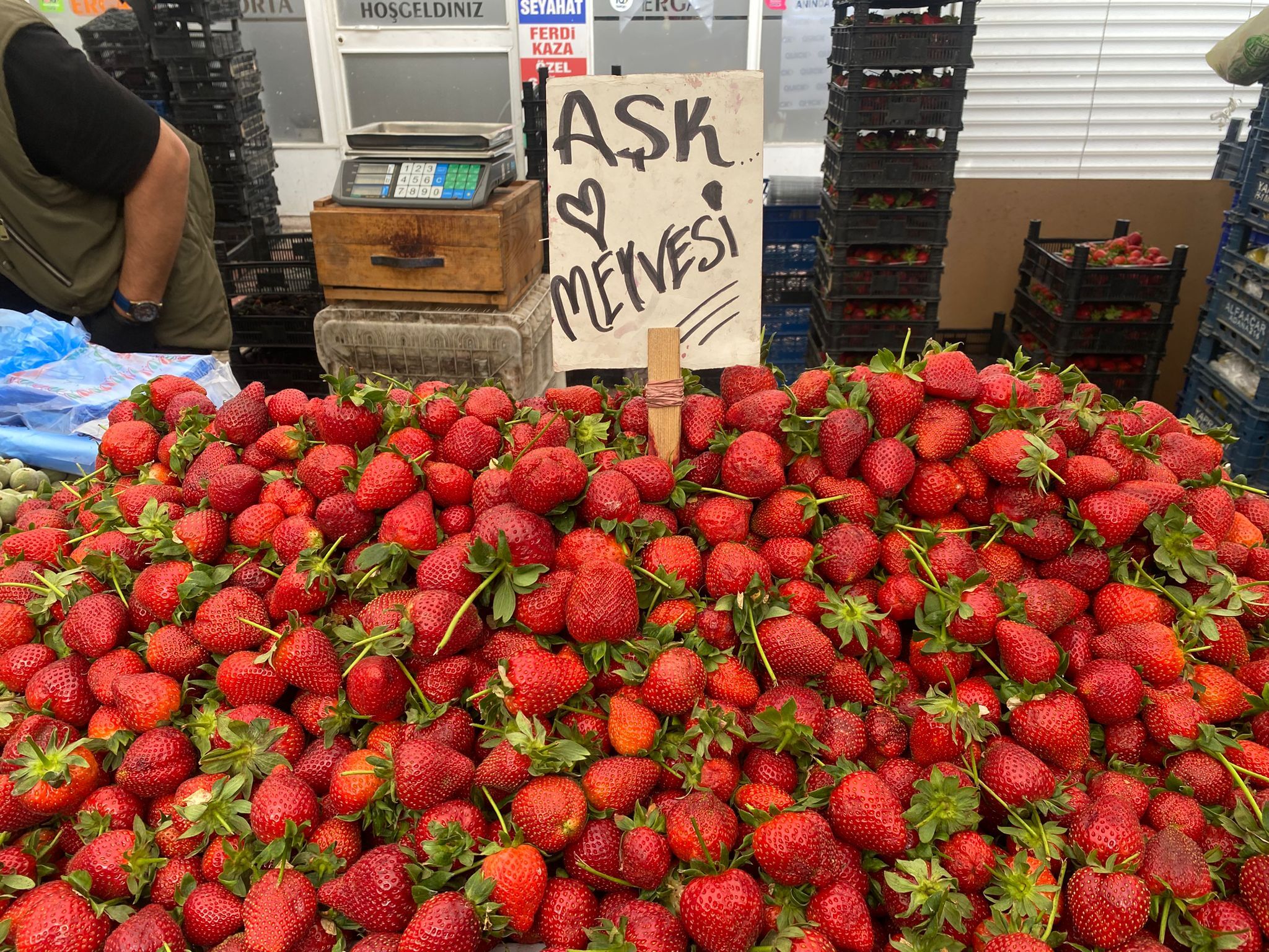 C4131044 824E 457C 809C 87Cfd069Fd8B