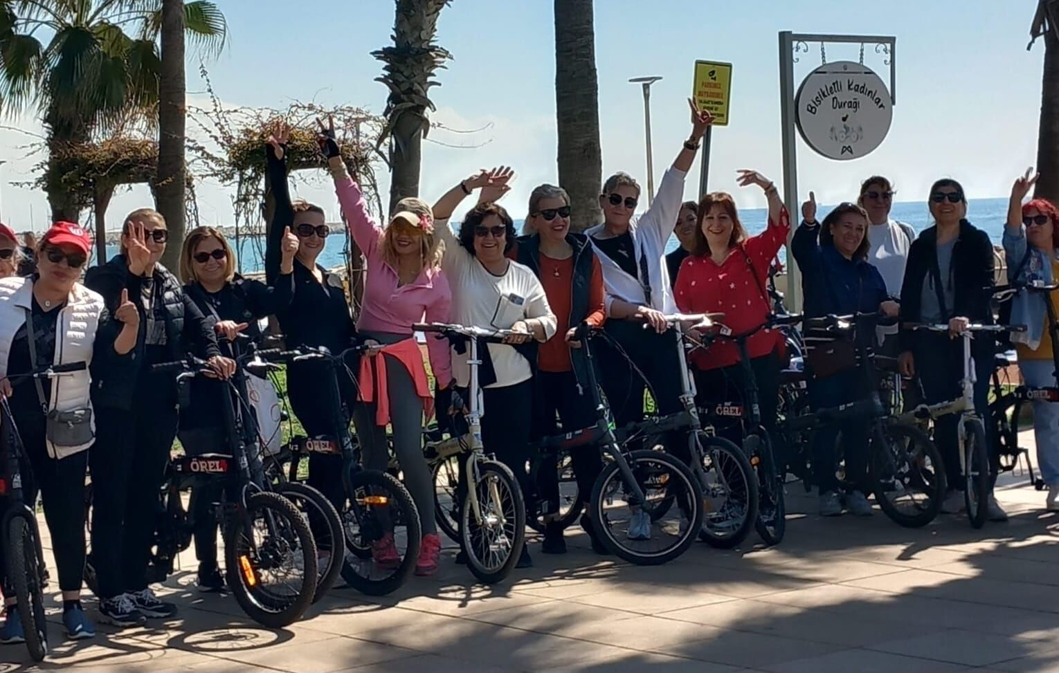 Ce19A6A9 Bc18 4Eab 9821 5F837A64Bf96