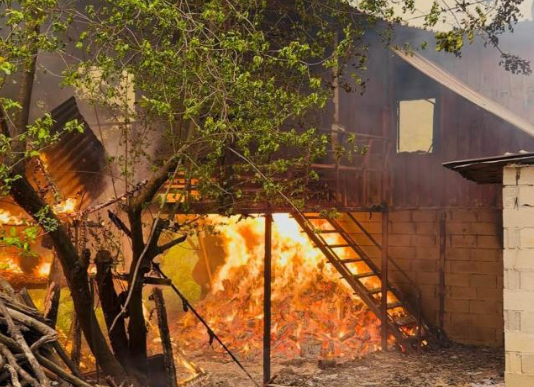 Ekran Görüntüsü 2026 04 05 141738