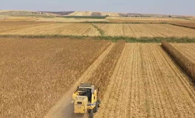 Ekran Görüntüsü 2026 04 10 115128