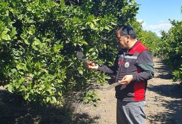 Ekran Görüntüsü 2026 04 10 135337