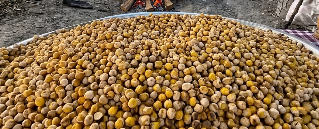 Ekran Görüntüsü 2026 04 11 203944