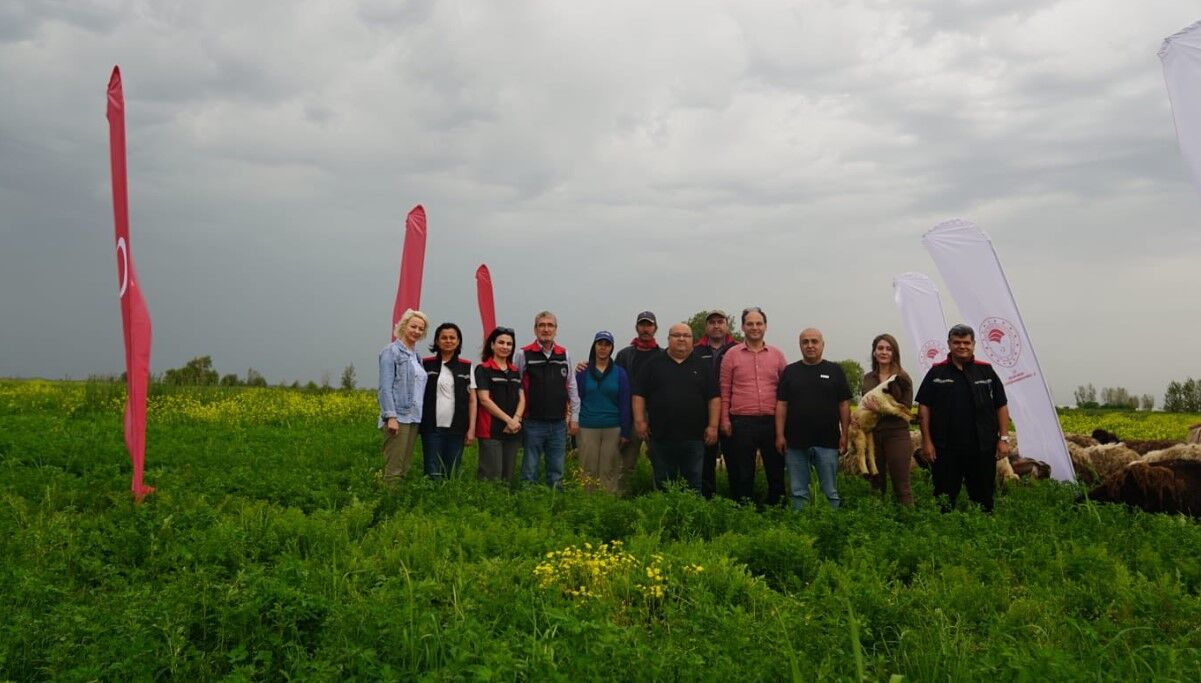 Ekran Görüntüsü 2026 04 17 164237