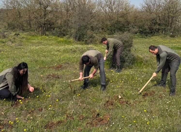 Ekran Görüntüsü 2026 04 24 142419