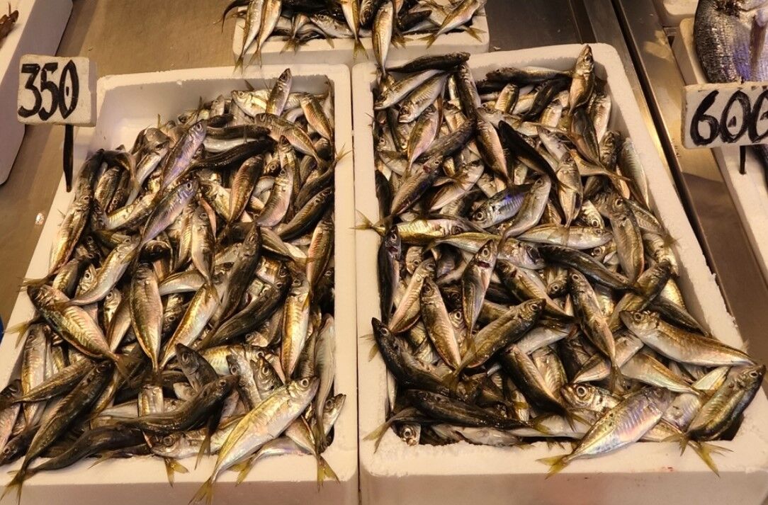 Ekran Görüntüsü 2026 04 29 130853