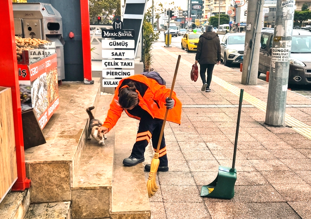 Gemini Generated Image 9Por729Por729Por (1)