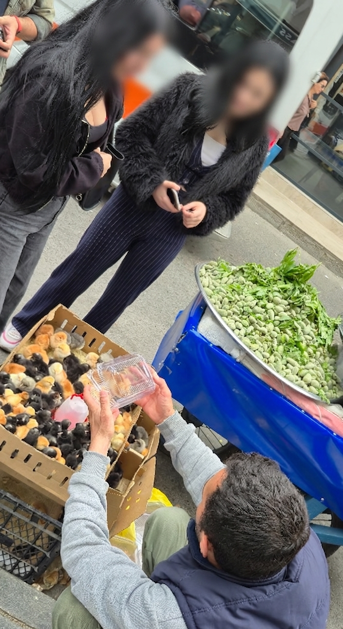 Gemini Generated Image P77Ot9P77Ot9P77O (1)