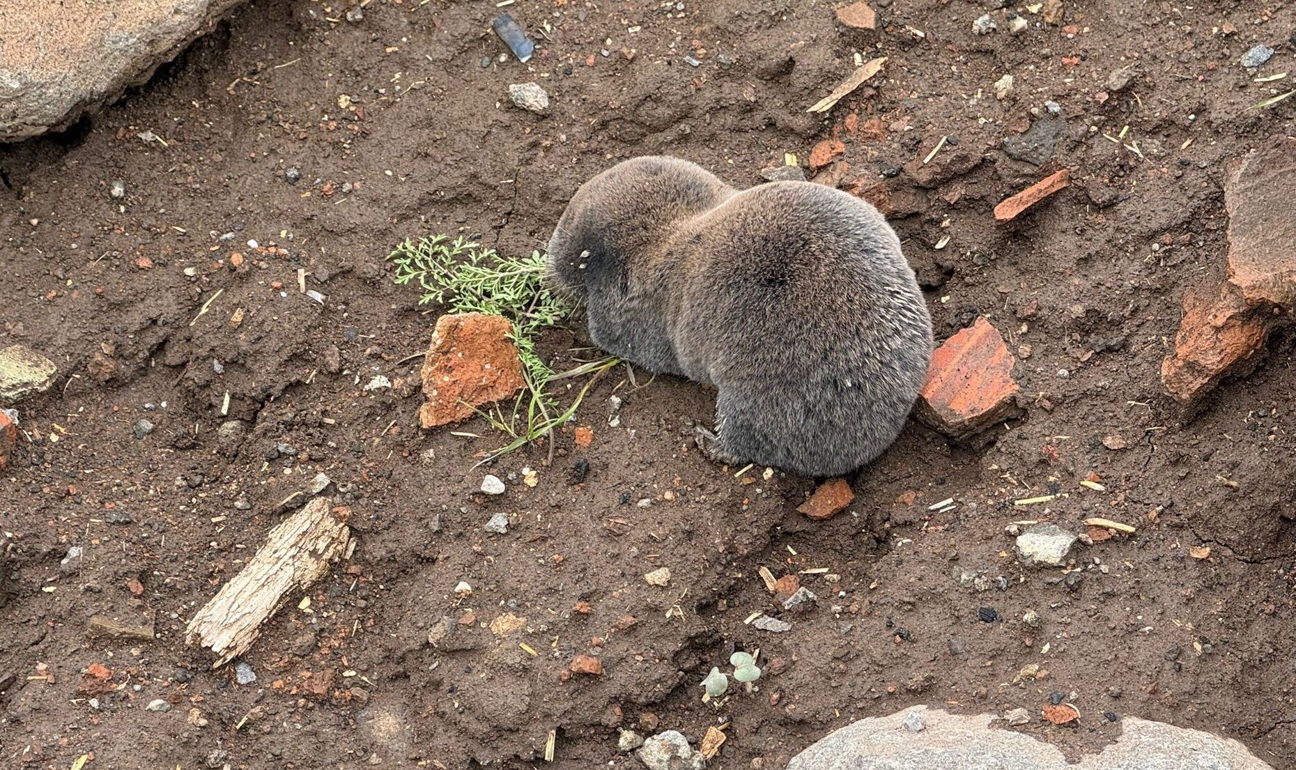 S A G A N A K L A R S I R A S I N D A Y U V A L A R I N I S U B A S A N 1232084 366454