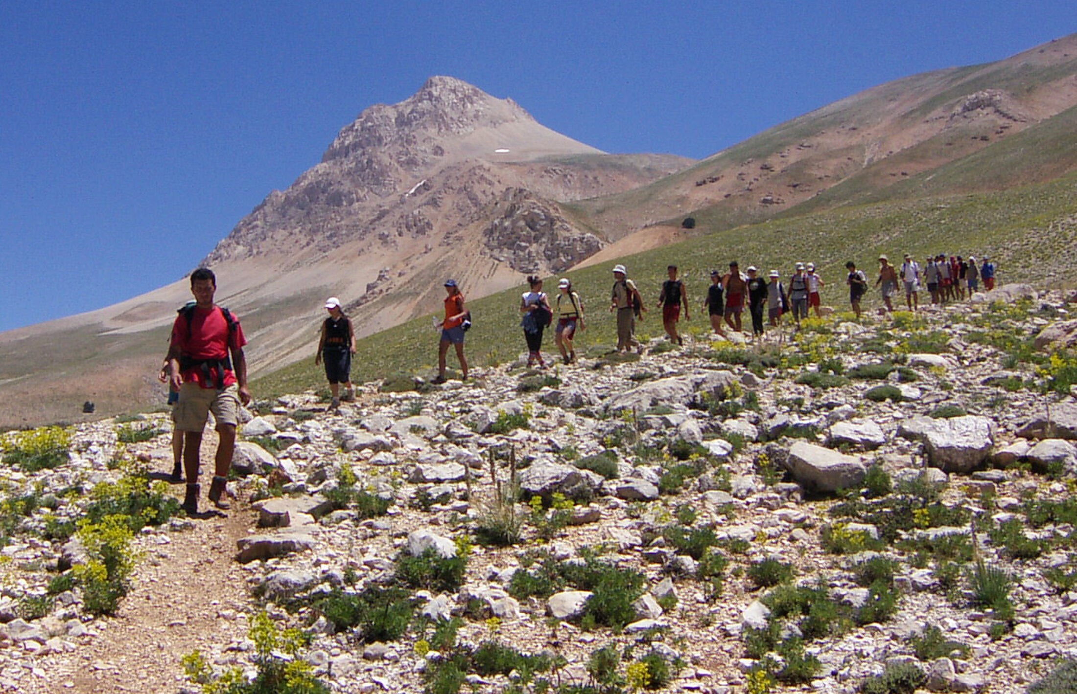 S A N A L M E D Y A E T K I S I Y L E D O G A Y A B I L I N C S I Z 1273823 379144