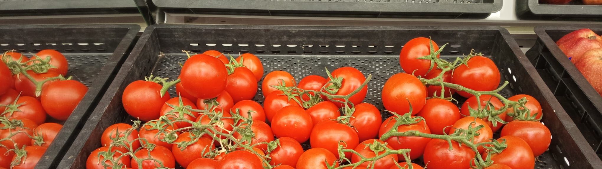 Whatsapp Image 2026 04 10 At 12.16.11