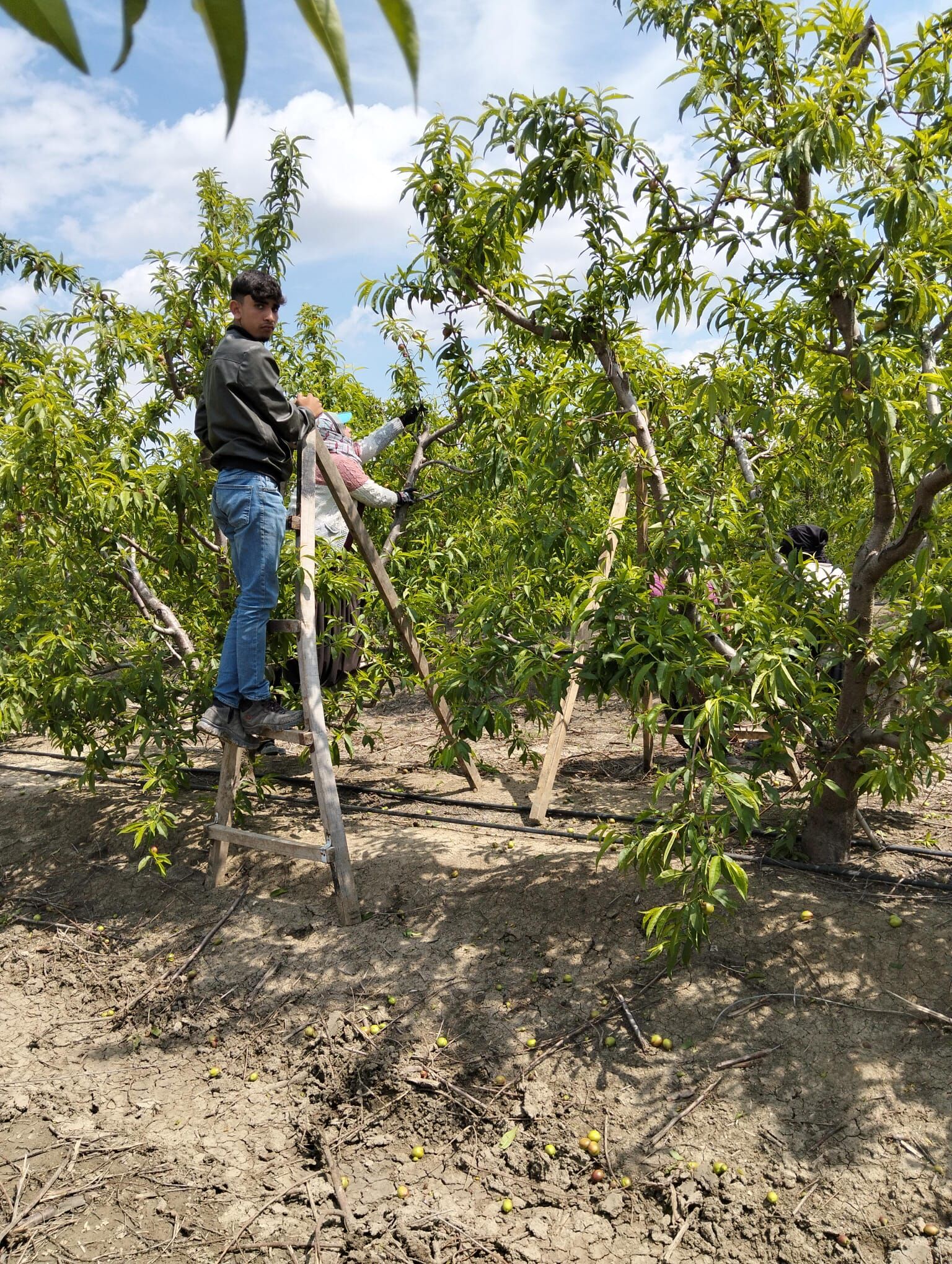 Whatsapp Image 2026 04 11 At 16.26.50 (1)