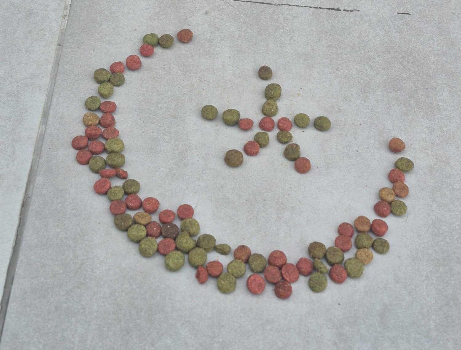 Whatsapp Image 2026 04 13 At 10.53.06