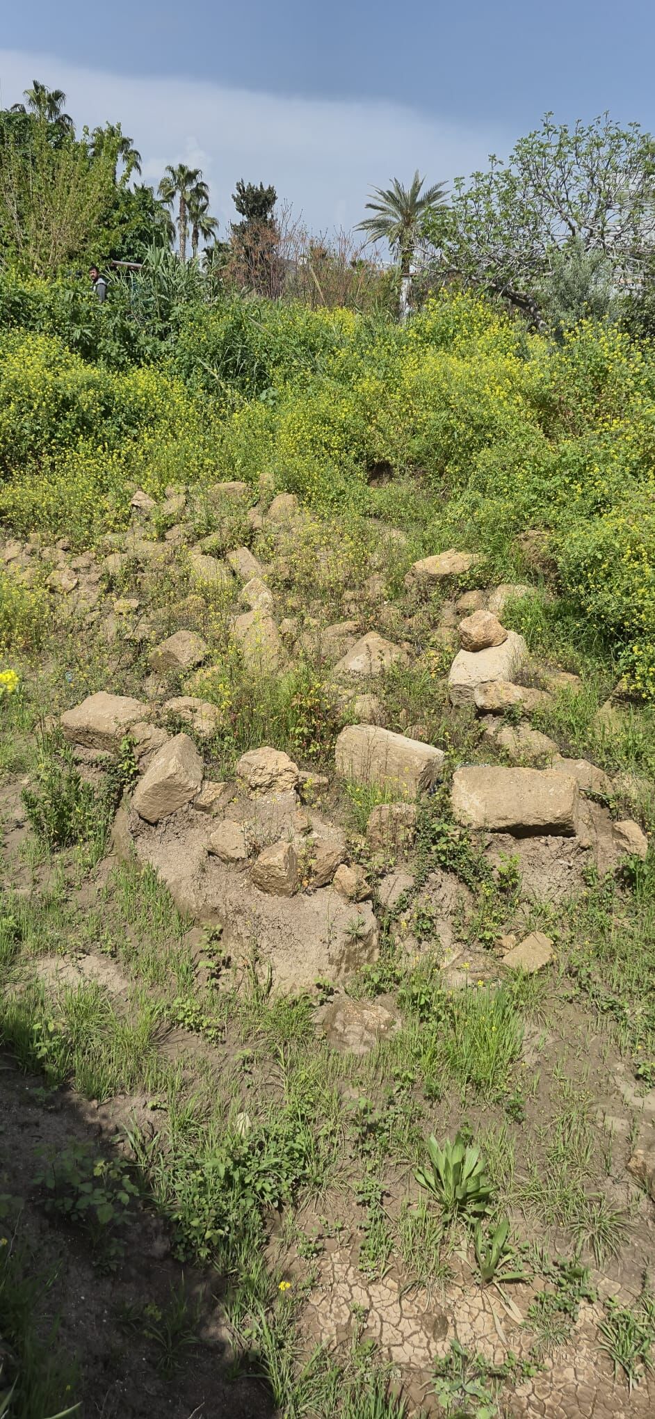 Whatsapp Image 2026 04 22 At 11.32.19 (2)