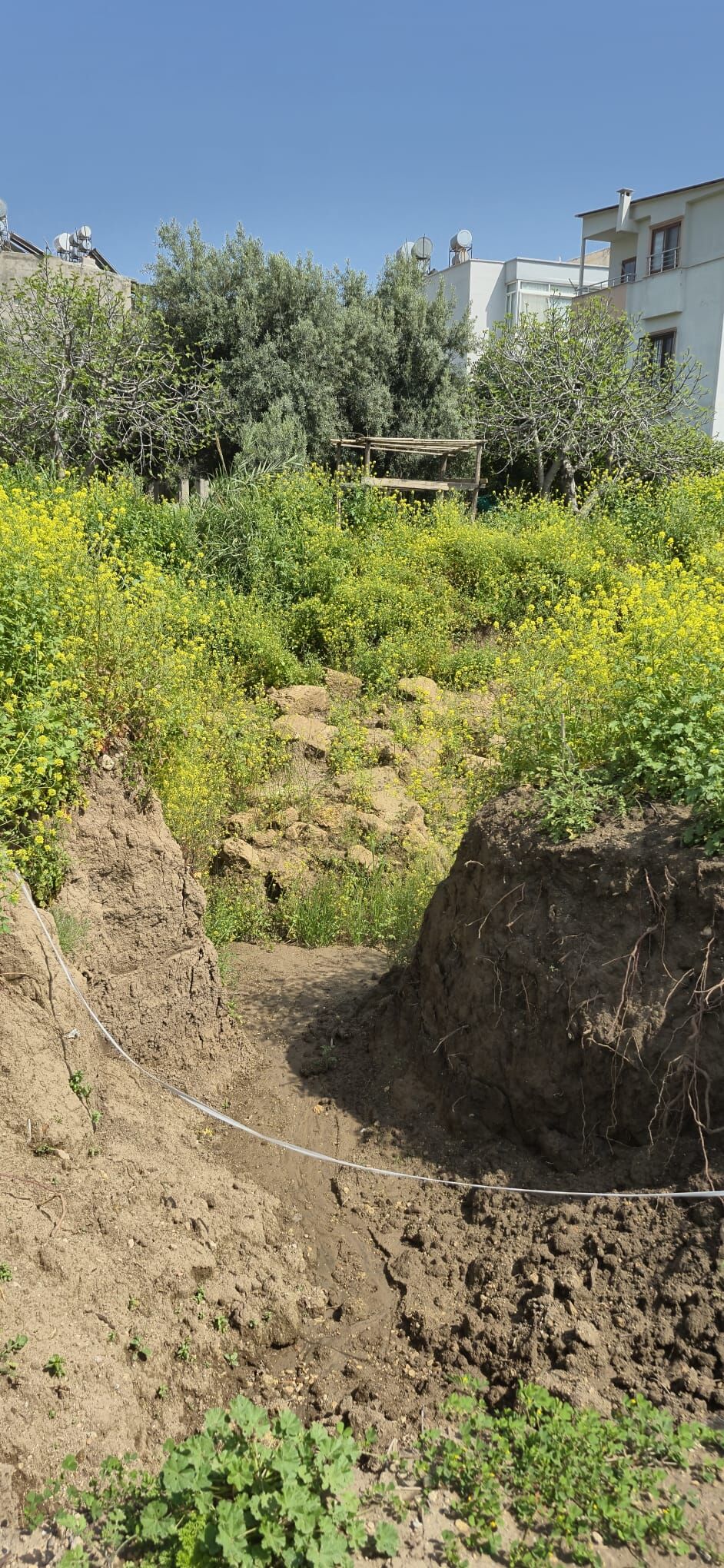 Whatsapp Image 2026 04 22 At 11.32.19