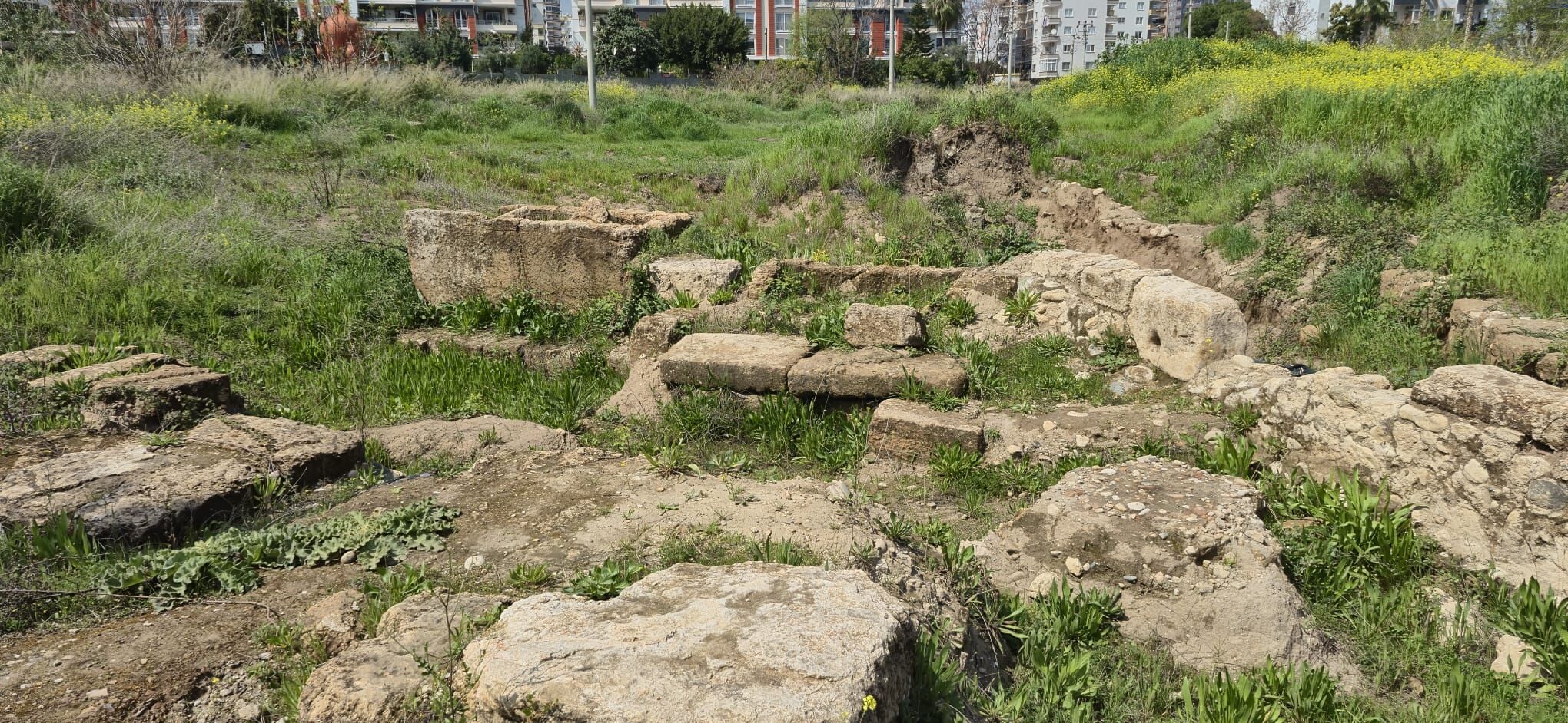 Whatsapp Image 2026 04 22 At 11.32.20 (1)