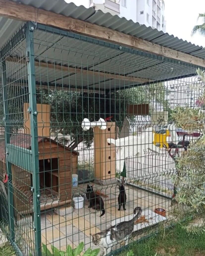 Whatsapp Image 2026 04 23 At 14.11.29 (2)