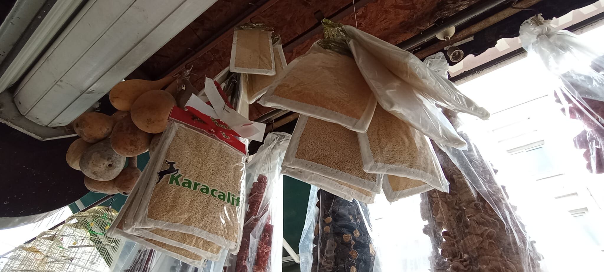 Whatsapp Image 2026 04 27 At 14.25.13