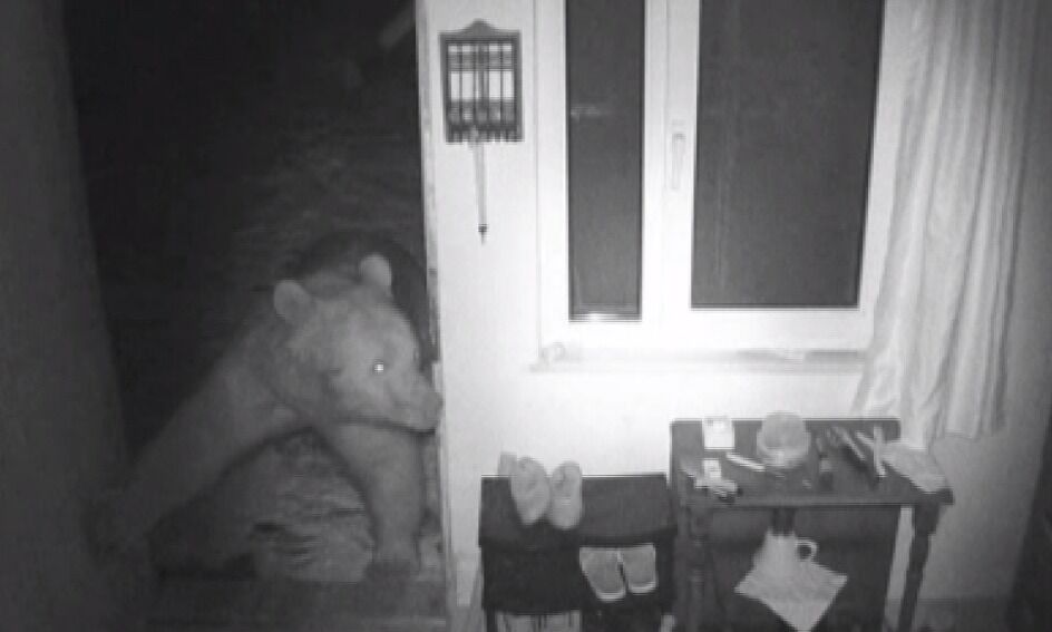 Y A Y L A E V L E R I N E G I R I P M A H A L L E L E R D E D O L A S 1269165 377712