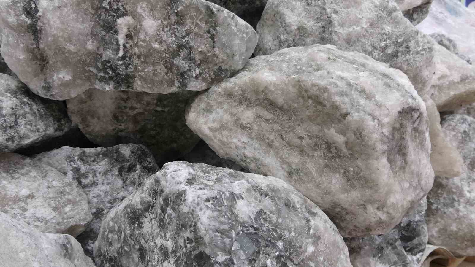 20260503Aw696412 5