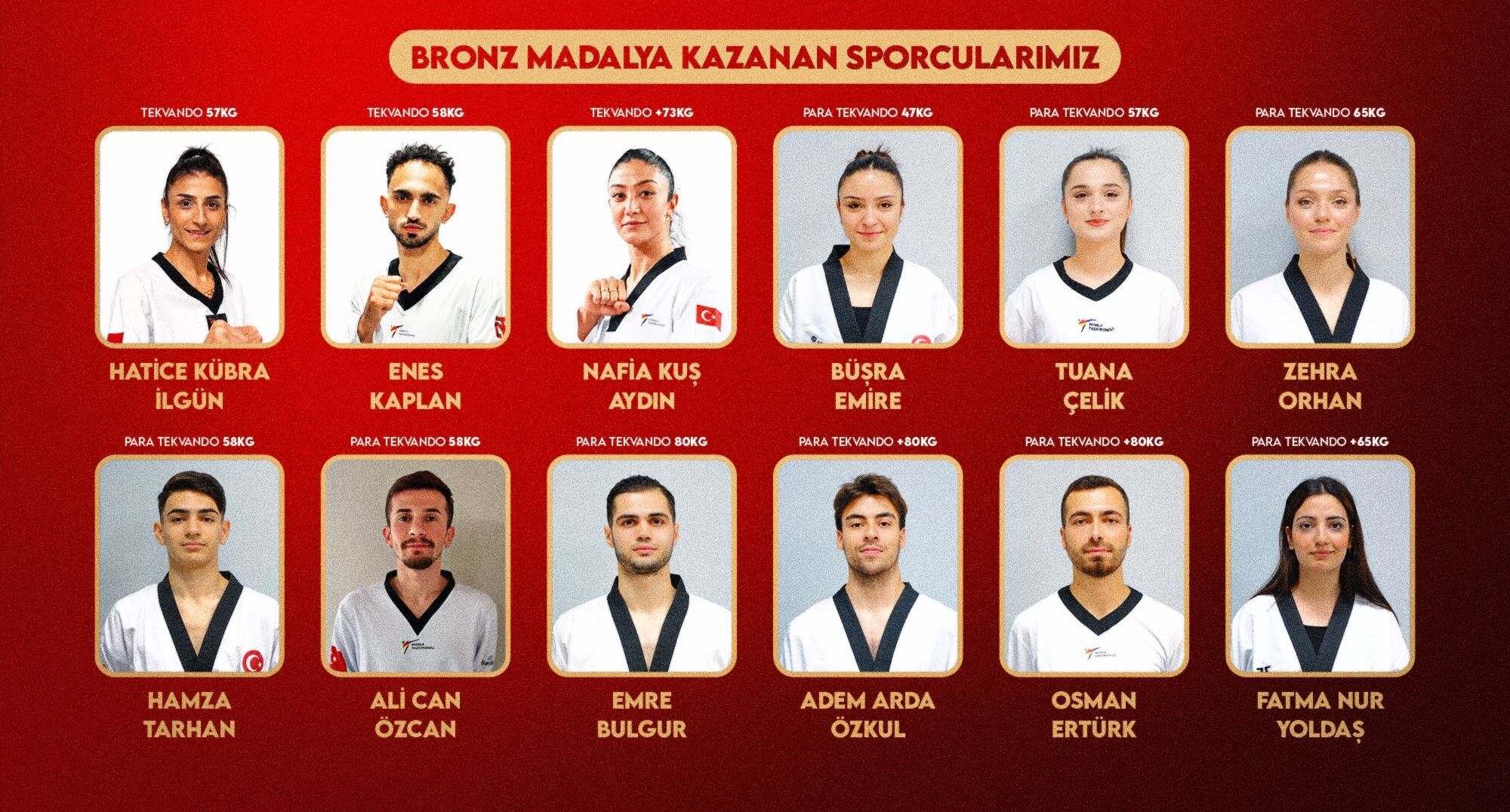 Cumhurbaskani Erdogan Avrupa Sampiyonu 1311990 389983 (1)