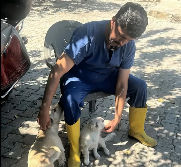 Ekran Görüntüsü 2026 06 06 165708