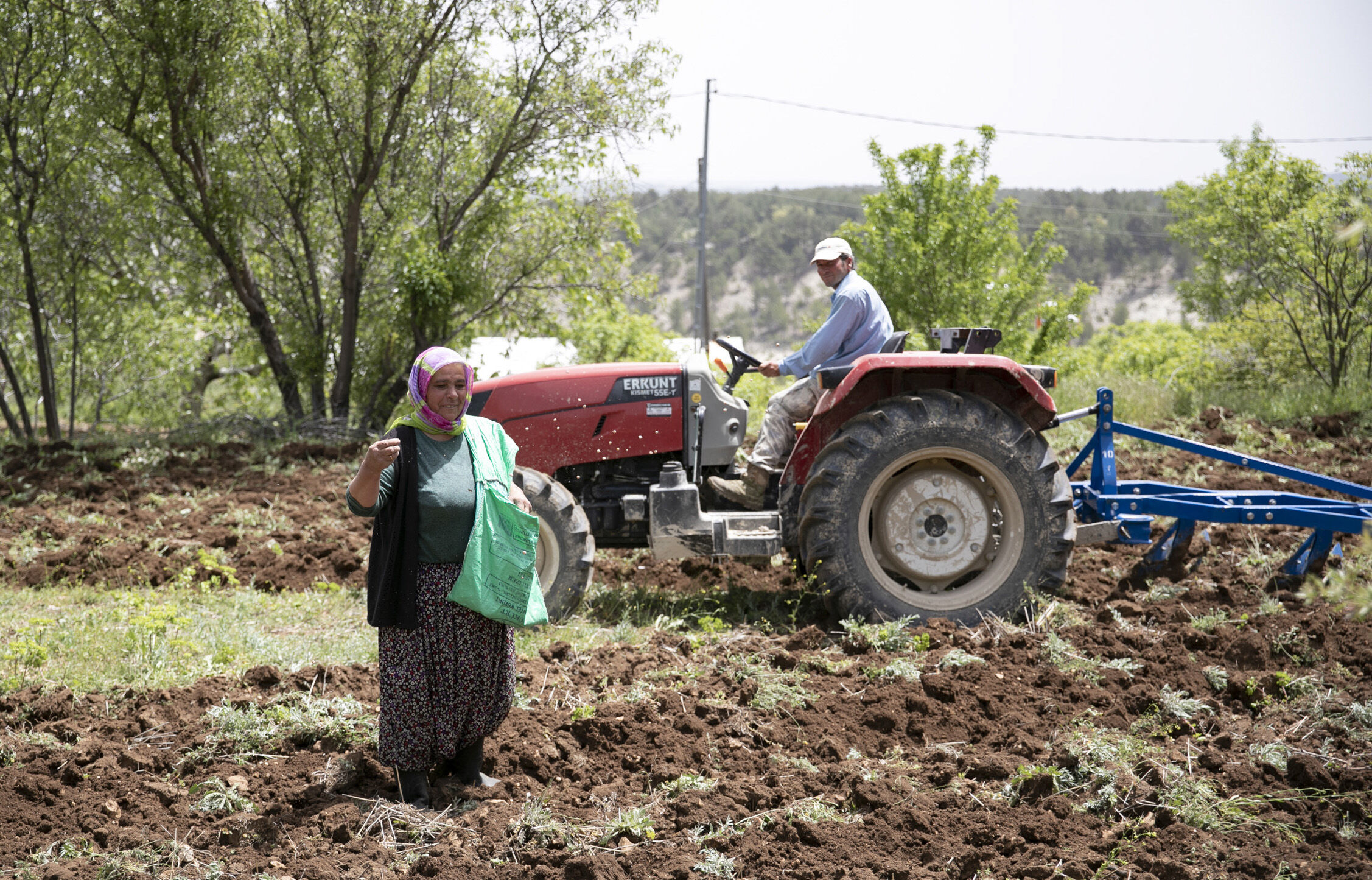 Mersi̇n Büyükşehi̇r Beledi̇yesi̇ Atalik Tohumlari Gelecek Nesi̇llere Aktariyor (7)