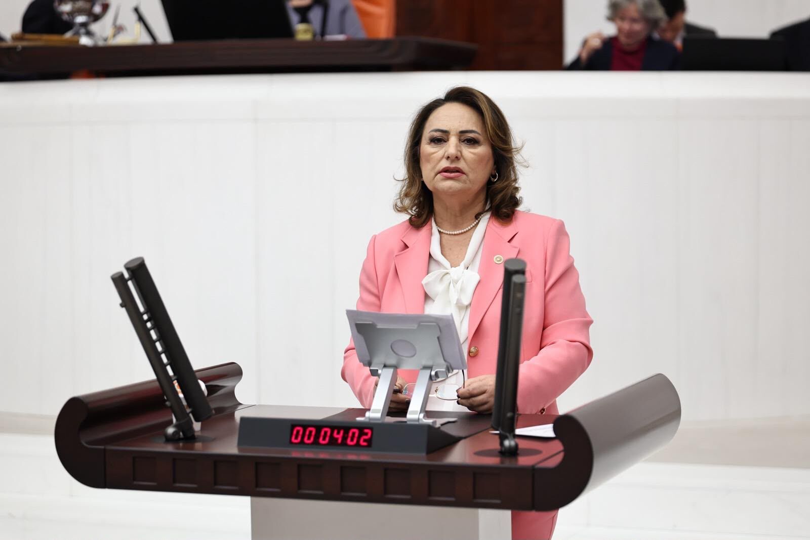 Muzeyyen Sevkin Meclis Adanamv (1)