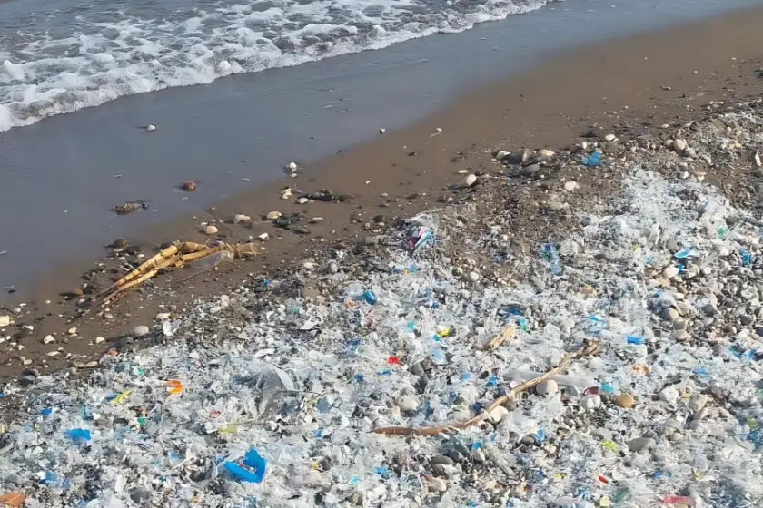 Mersin Çevre Platformu'ndan Akdeniz'deki mikroplastik kirliliğine karşı acil çağrı