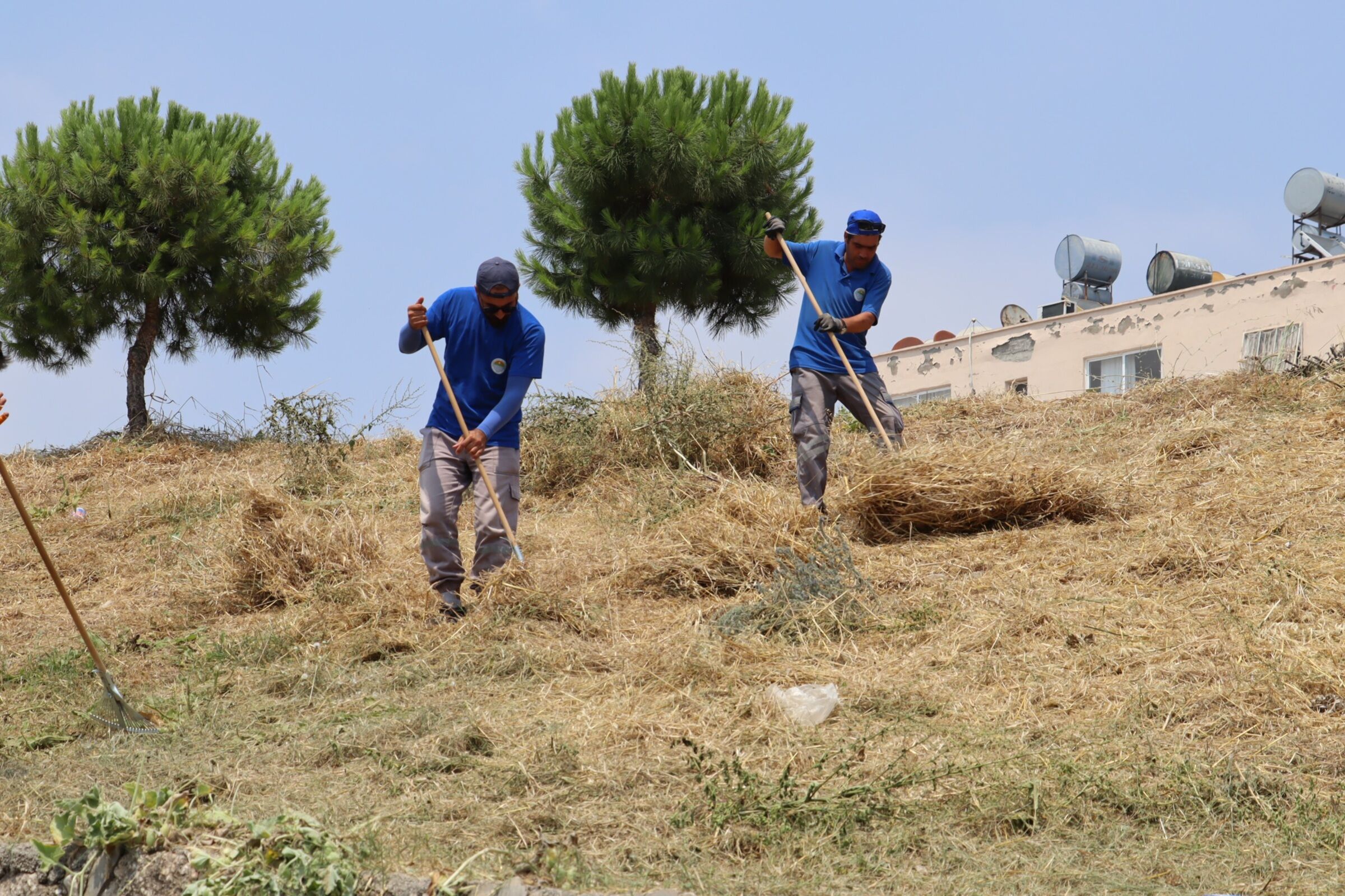 Çevre Bakımı Çalışmaları (3)