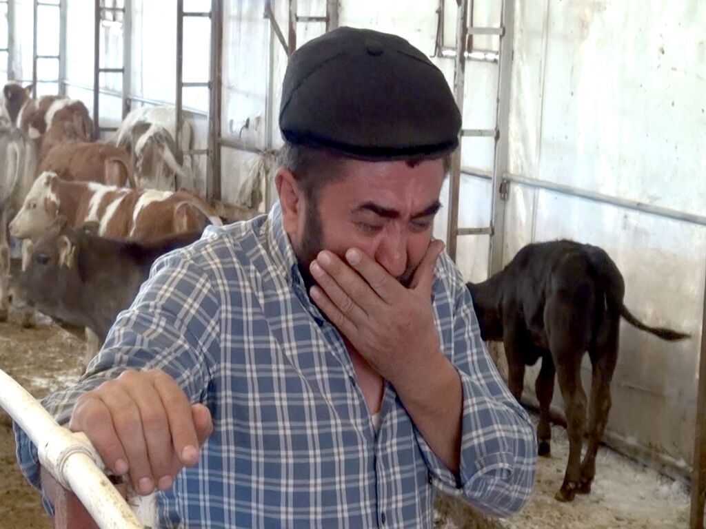 Dumandan 9 Buzağı Öldü2