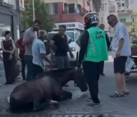 Ekran Görüntüsü 2026 07 24 111300