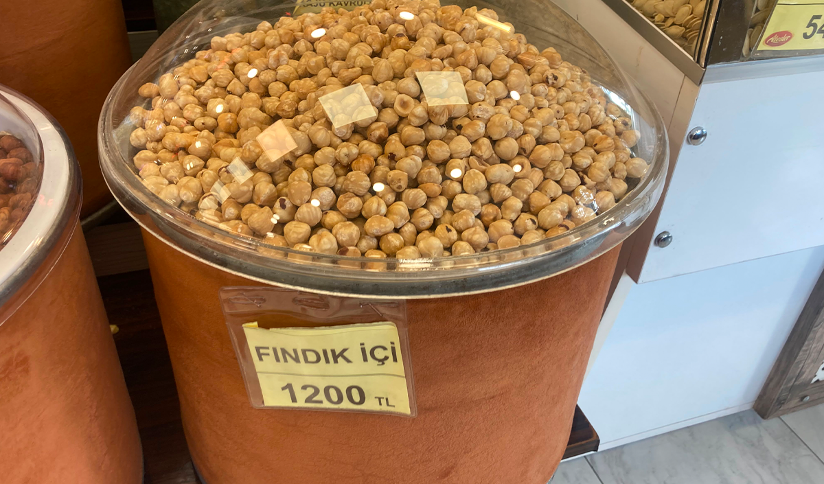 Fındık Icı