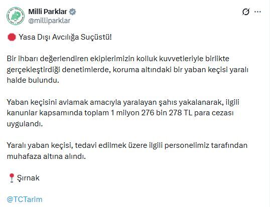K O R U M A A L T I N D A K I Y A B A N K E C I S I N I Y A R A L A Y A 1398482 415330