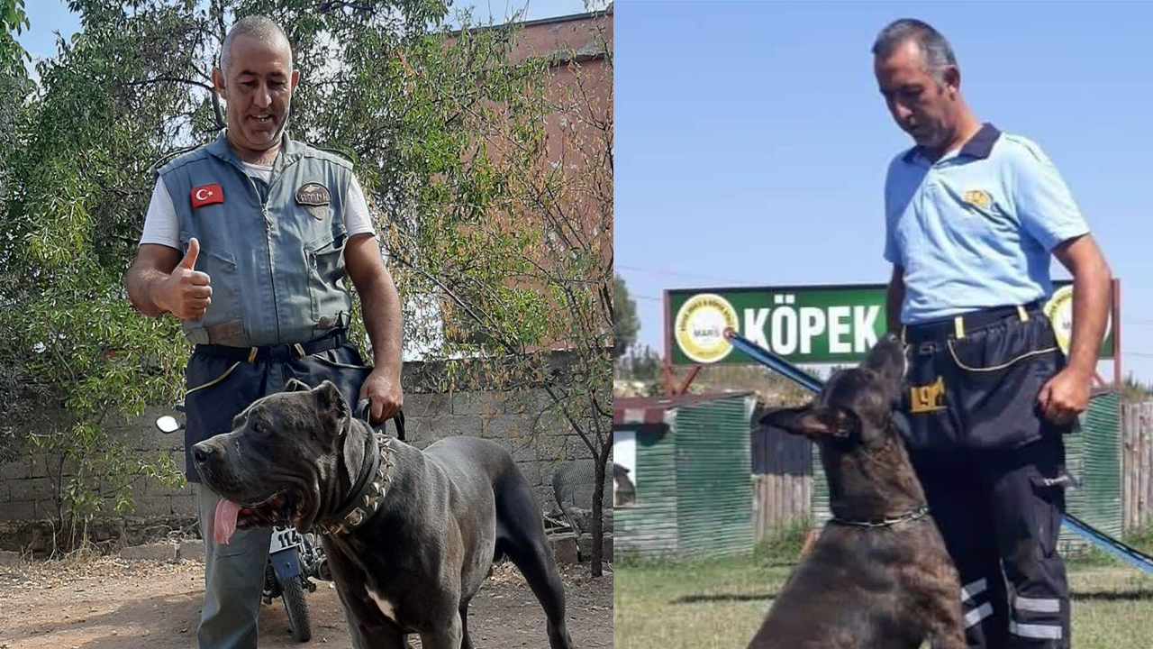 Köpek Eğitmeni Tufan Karagöl2
