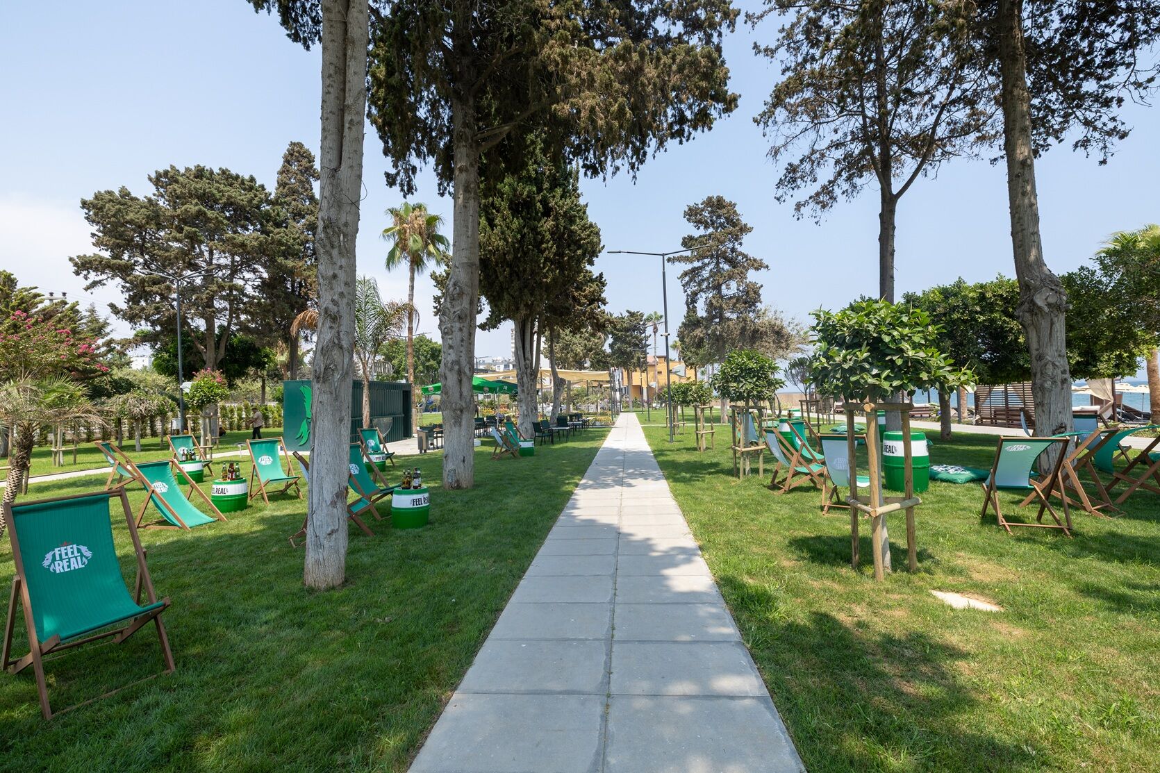 Pompeiobezh (7)