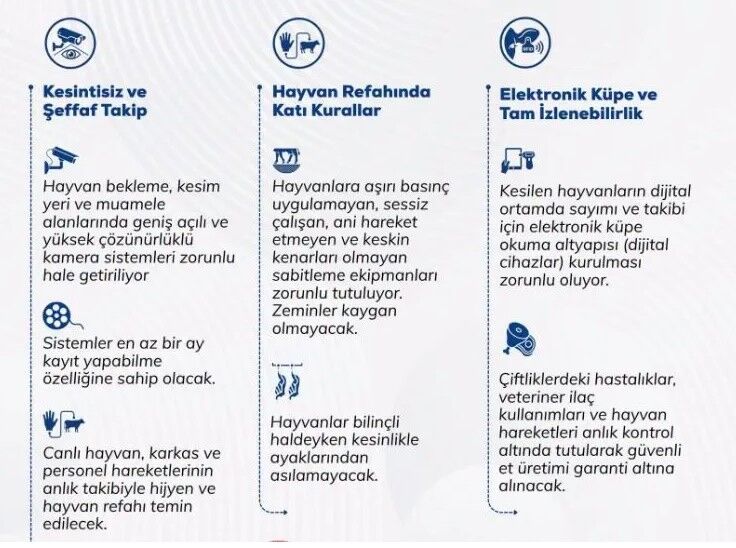Yönetmelik