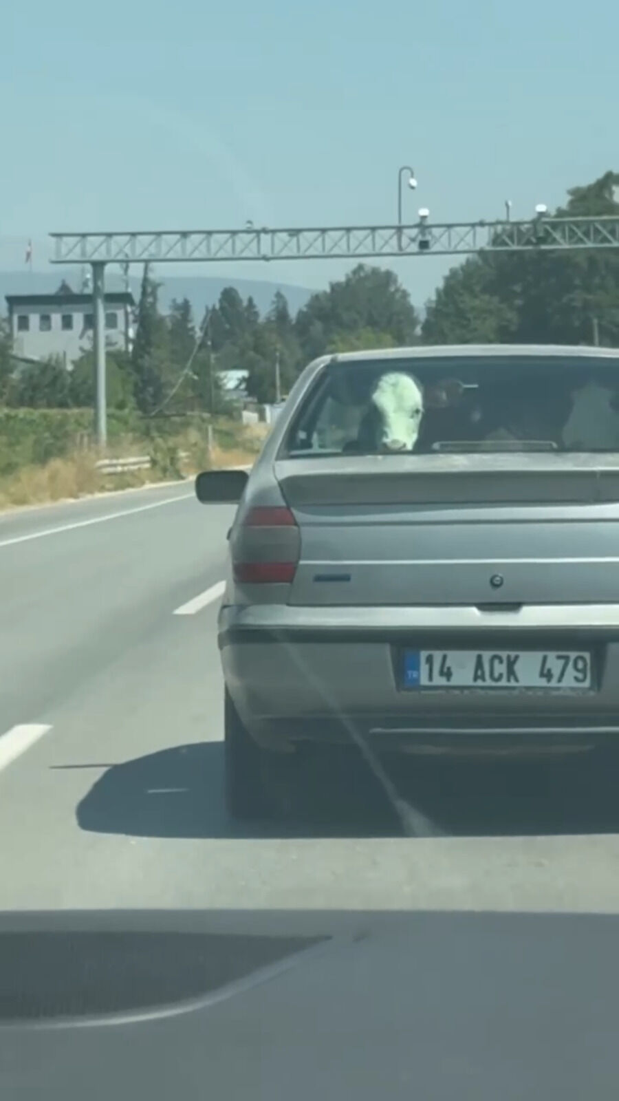 GÜNDEM