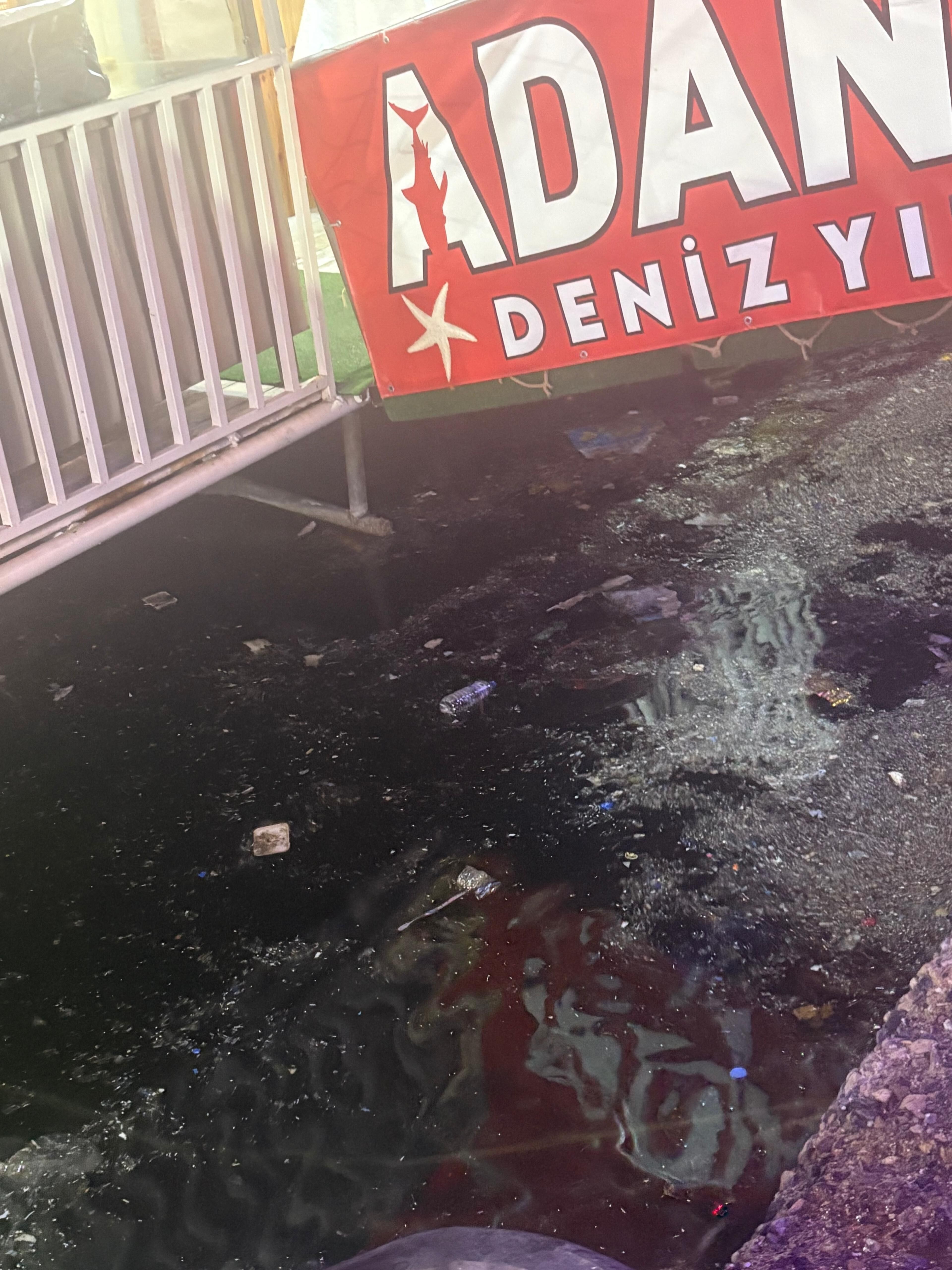 Çevre Deniz Mikroplastik