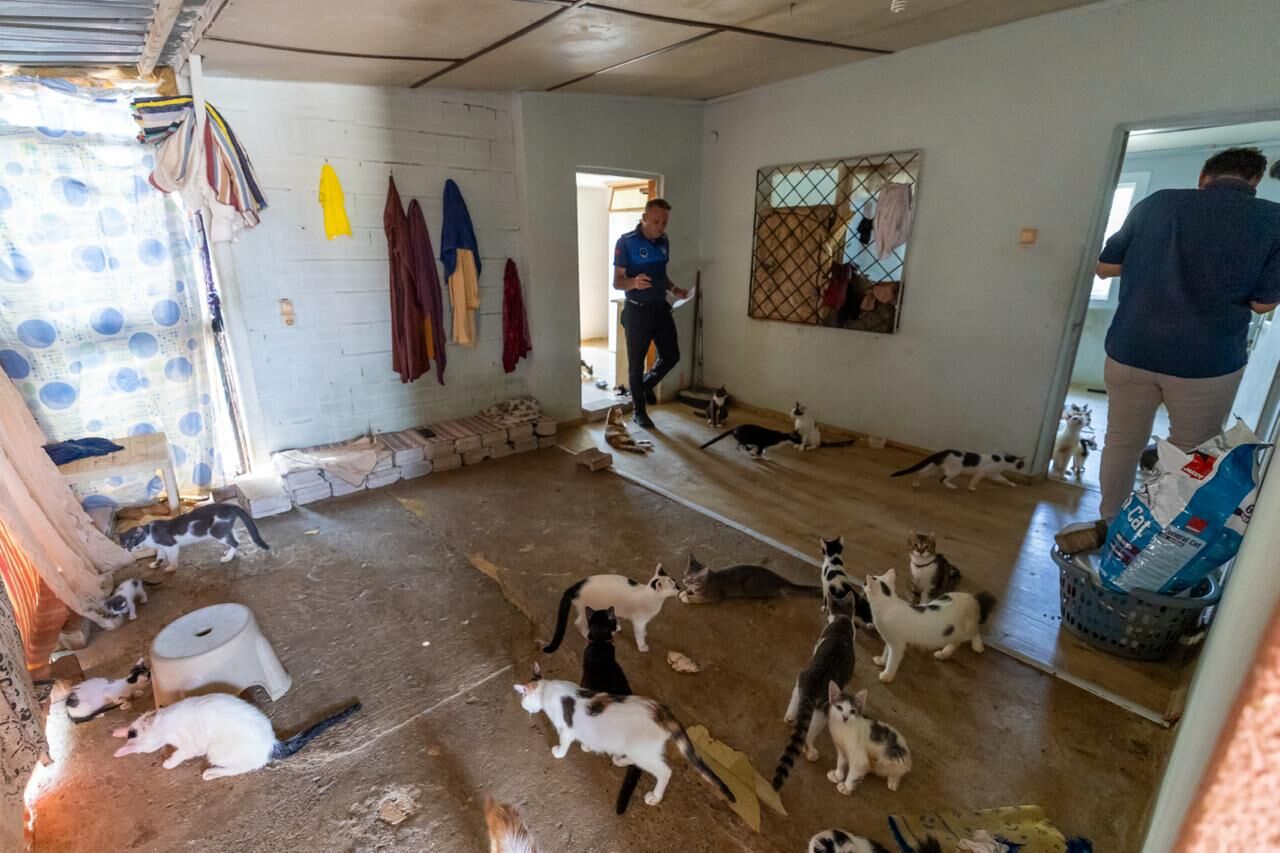 ‘Çöp Ev’ Beklerken ‘Kedi Evi’ Çıktı (3)