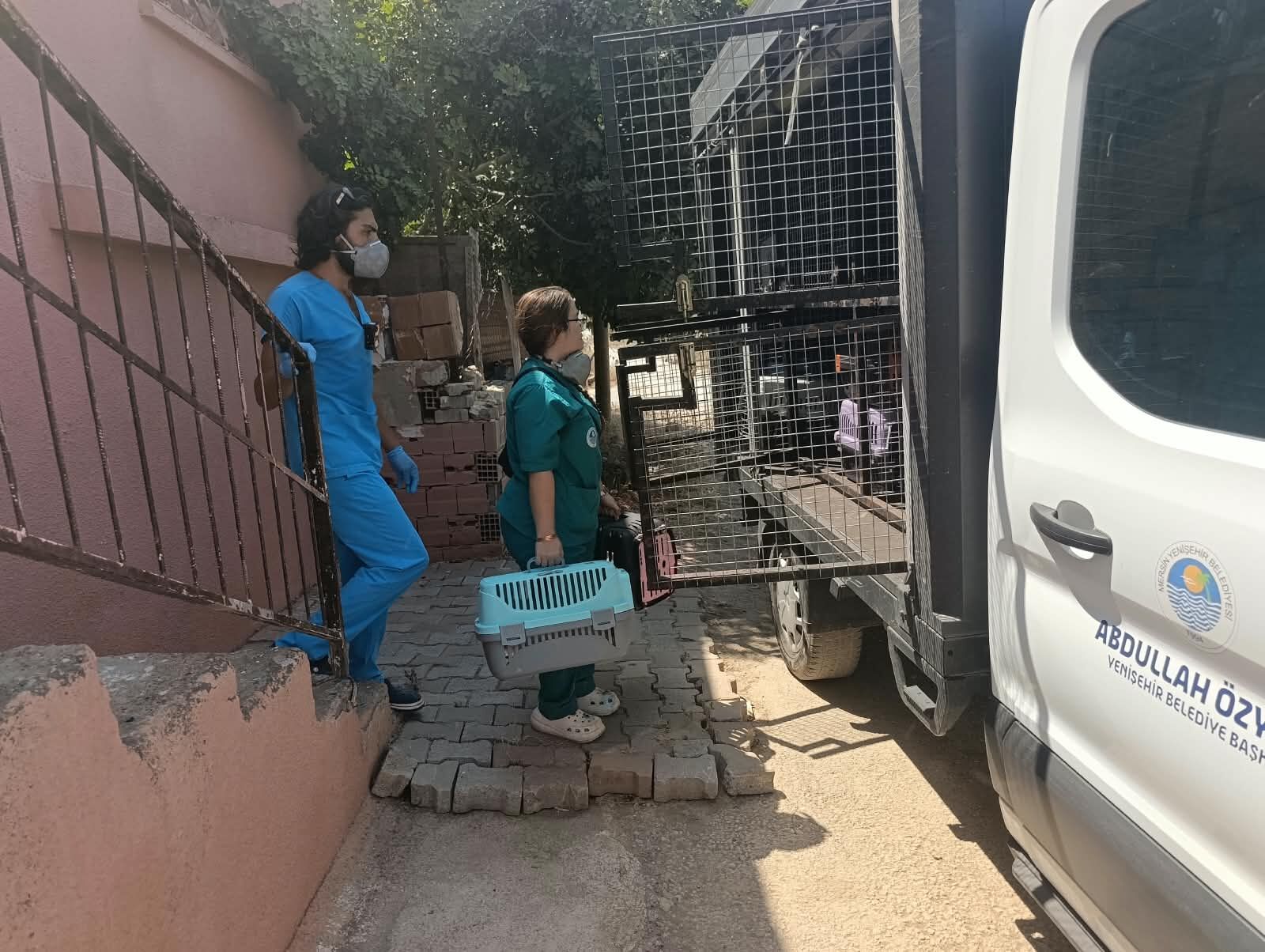 ‘Çöp Ev’ Beklerken ‘Kedi Evi’ Çıktı (6)