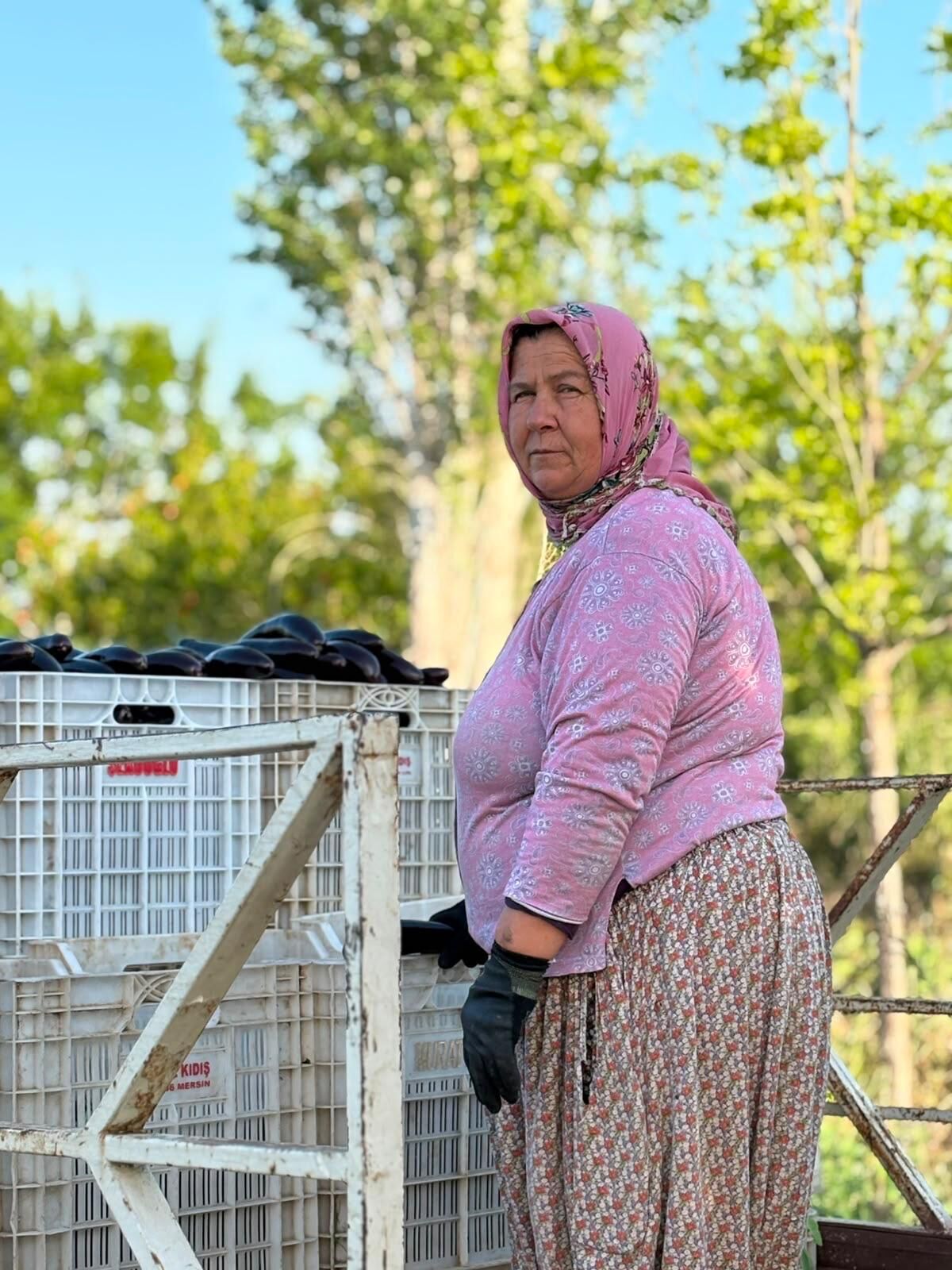 Hasadın Ardındaki Kadınlar-2