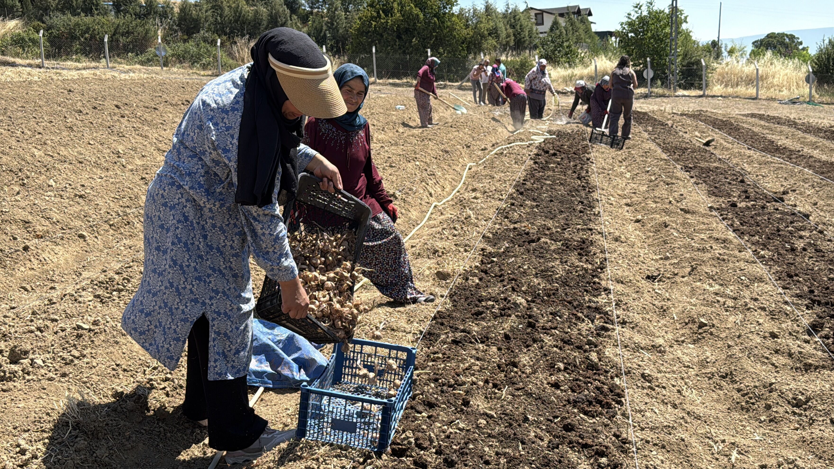 EKONOMİ
