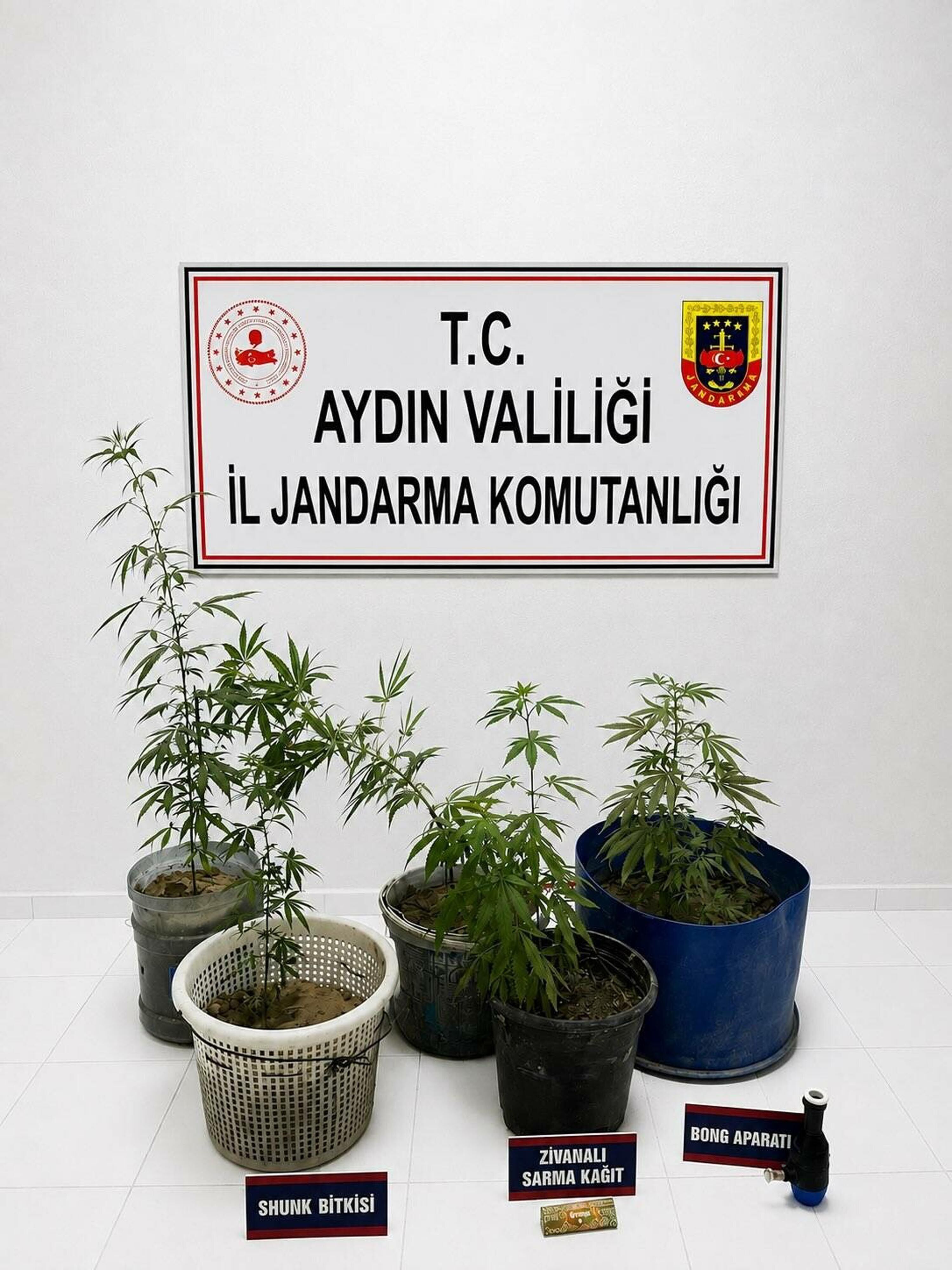 ASAYİŞ
