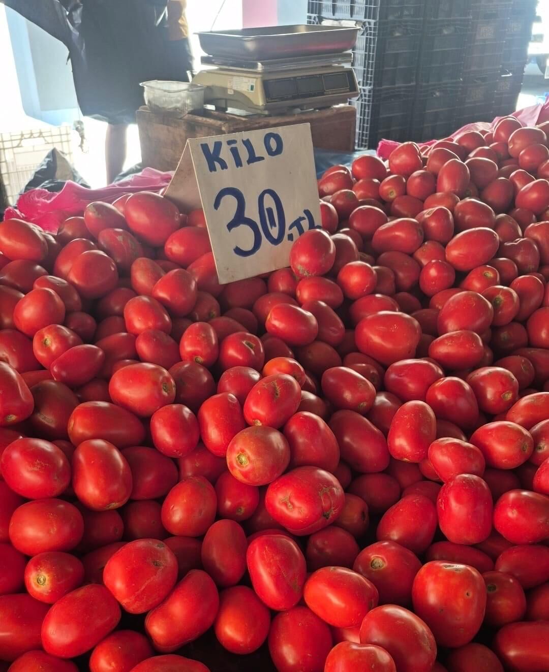 Mersin Semnt Pazarı Fiyat 30 Tl