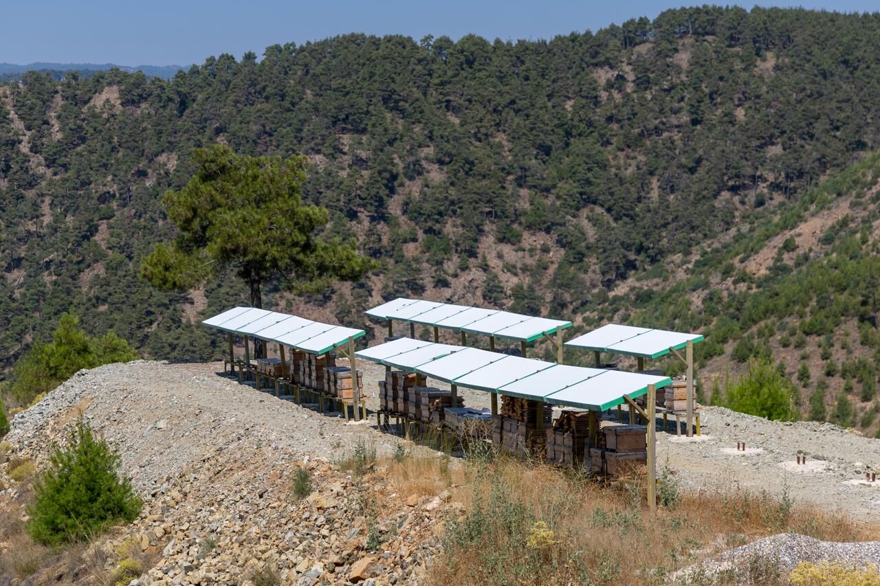 Yenişehir’de Bal Için Geri Sayım (2)